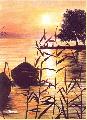 Aranyhd a Balatonon-Sunshine on Lake Balaton /40x50